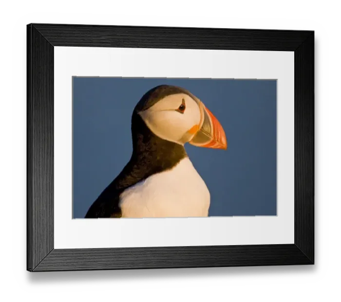 Framed Print : Europe, Iceland Framed Print : Europe, Iceland