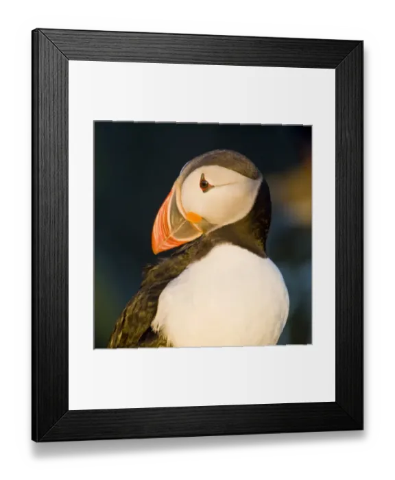 Framed Print : Europe, Iceland Framed Print : Europe, Iceland