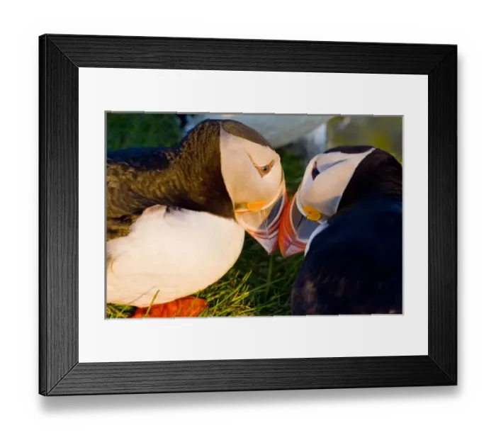 Framed Print : Europe, Iceland Framed Print : Europe, Iceland