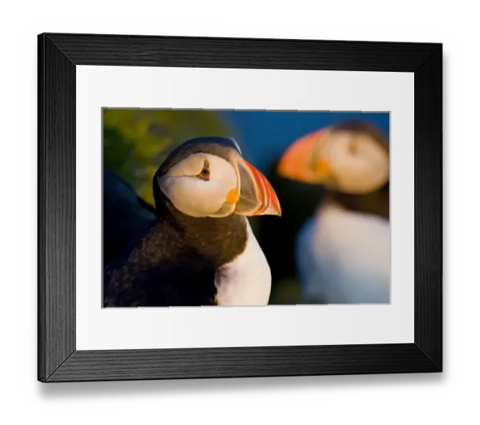 Framed Print : Europe, Iceland Framed Print : Europe, Iceland