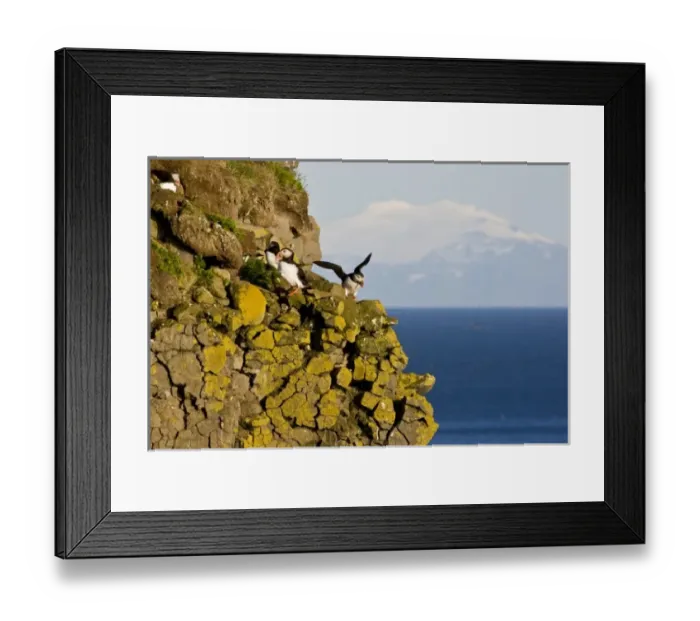 Framed Print : Europe, Iceland