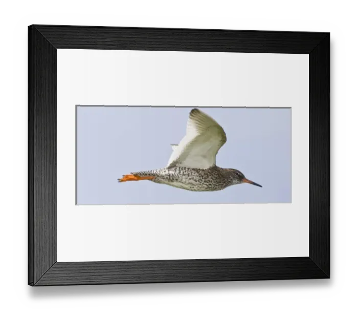Framed Print : Europe, Iceland Framed Print : Europe, Iceland