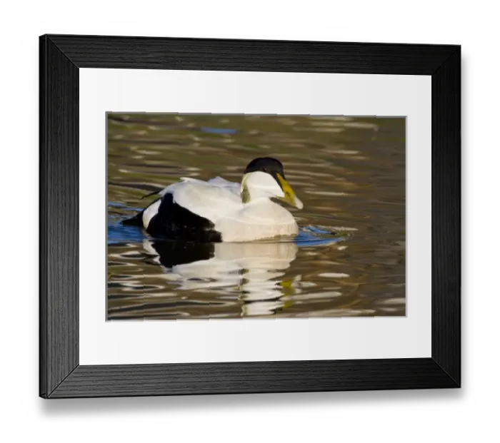 Framed Print : Europe, Iceland Framed Print : Europe, Iceland