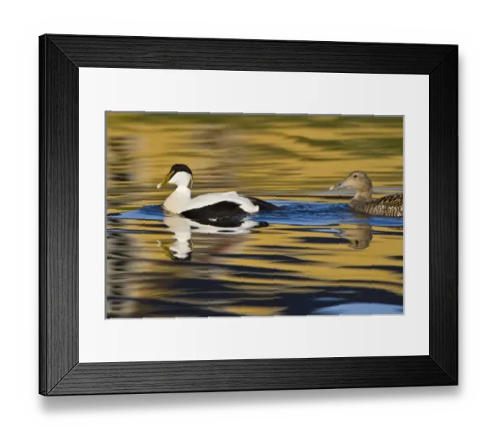 Framed Print : Europe, Iceland