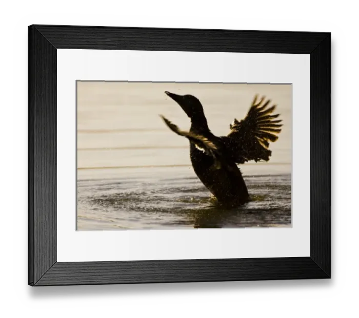 Framed Print : Europe, Iceland Framed Print : Europe, Iceland