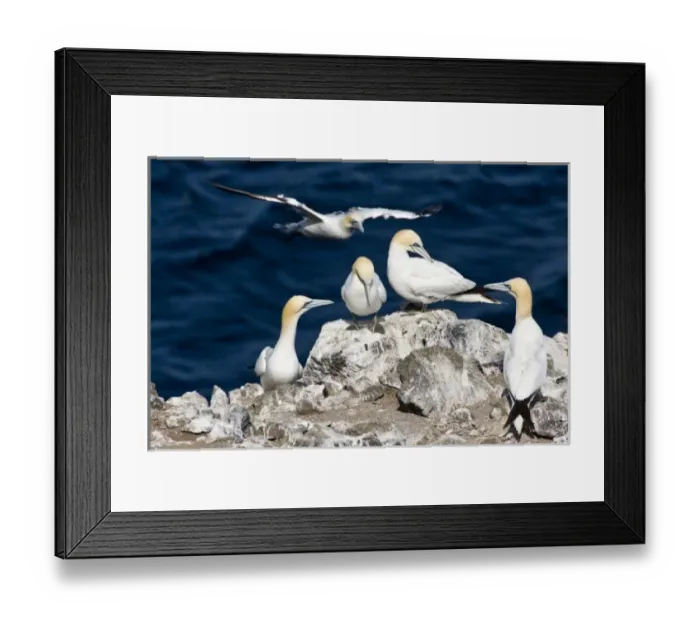 Framed Print : Europe, Iceland