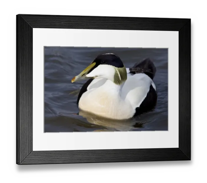 Framed Print : Europe, Iceland
