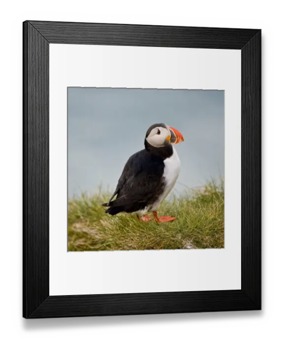 Framed Print : Europe, Iceland