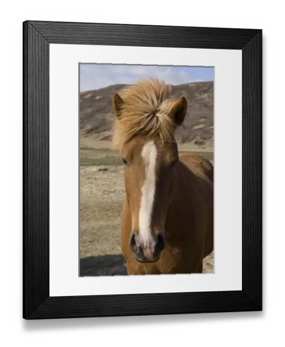 Framed Print : Europe, Iceland Framed Print : Europe, Iceland