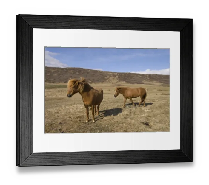 Framed Print : Europe, Iceland Framed Print : Europe, Iceland
