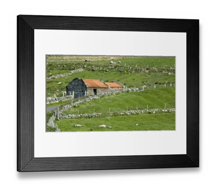 Framed Print : Ireland, County Mayo, Barnabaun Point. Irish countryside with stone wall and red-roofed house Framed Print : Ireland, County Mayo, Barnabaun Point. Irish countryside with stone wall and red-roofed house