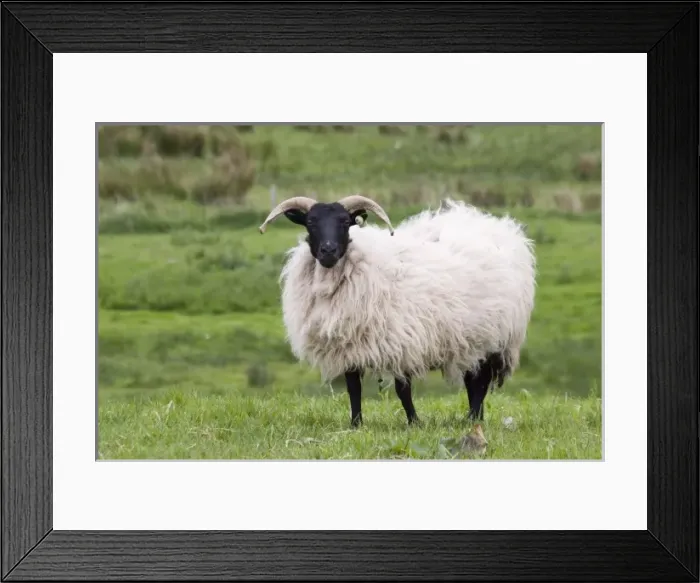 Framed Print : Europe, Ireland Framed Print : Europe, Ireland
