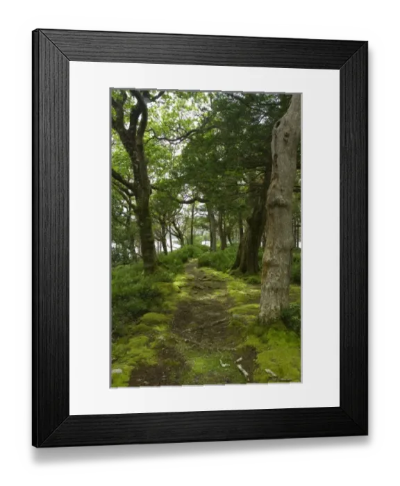 Framed Print : Europe, Ireland Framed Print : Europe, Ireland