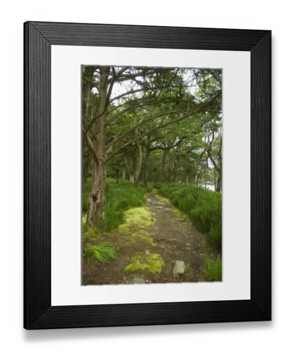 Framed Print : Europe, Ireland Framed Print : Europe, Ireland