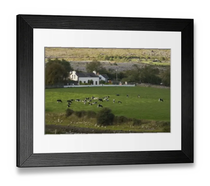Framed Print : Europe, Ireland Framed Print : Europe, Ireland