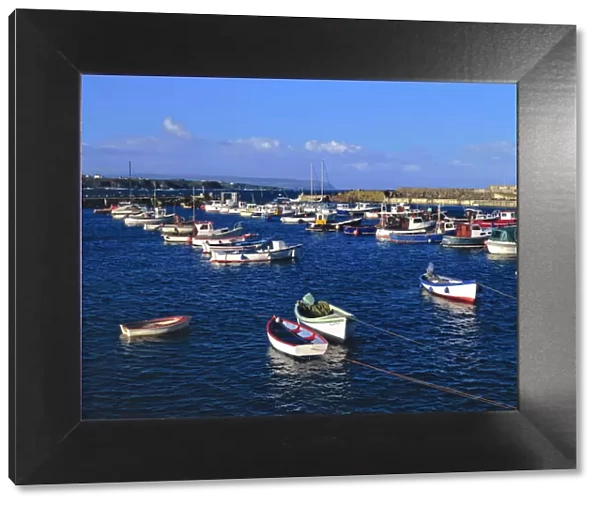 Northern Ireland, County Antrim, Portrush. Small fishing boats fill the harbor at