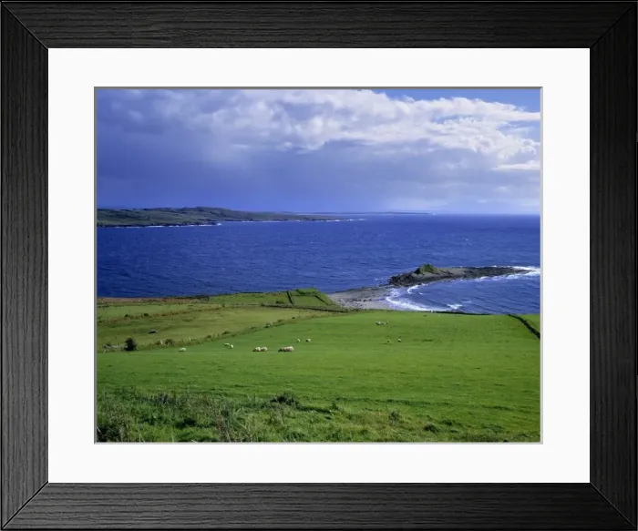 Framed Print : Europe, Ireland, Killybeggs. Sheep graze the green fields of Killybeggs, County Donegal, Ireland Framed Print : Europe, Ireland, Killybeggs. Sheep graze the green fields of Killybeggs, County Donegal, Ireland