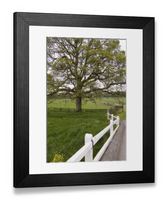 Framed Print : Europe, Ireland Framed Print : Europe, Ireland