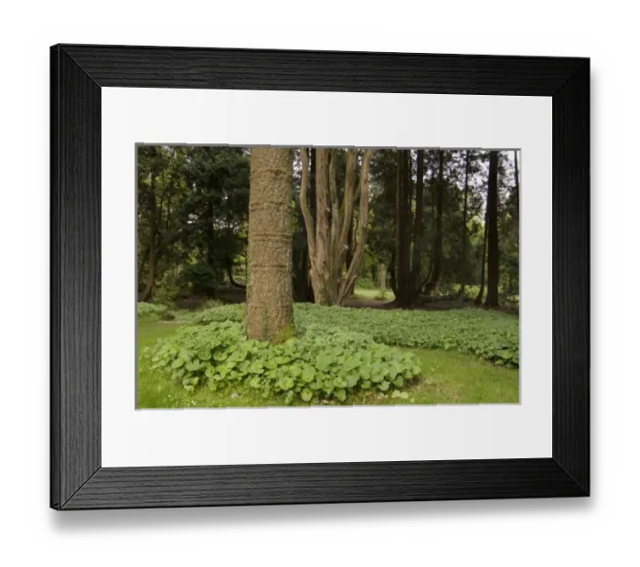 Framed Print : Europe, Ireland Framed Print : Europe, Ireland