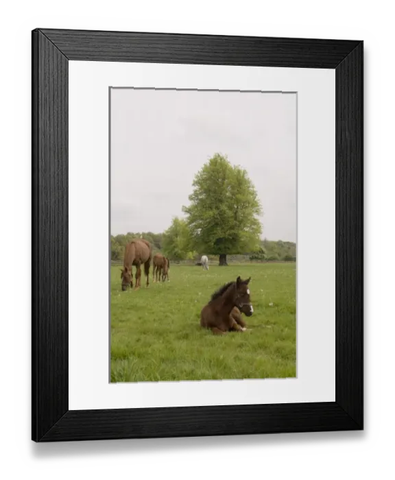 Framed Print : Europe, Ireland Framed Print : Europe, Ireland