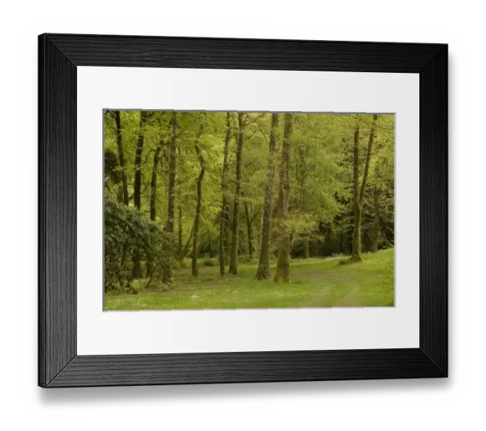 Framed Print : Europe, Ireland