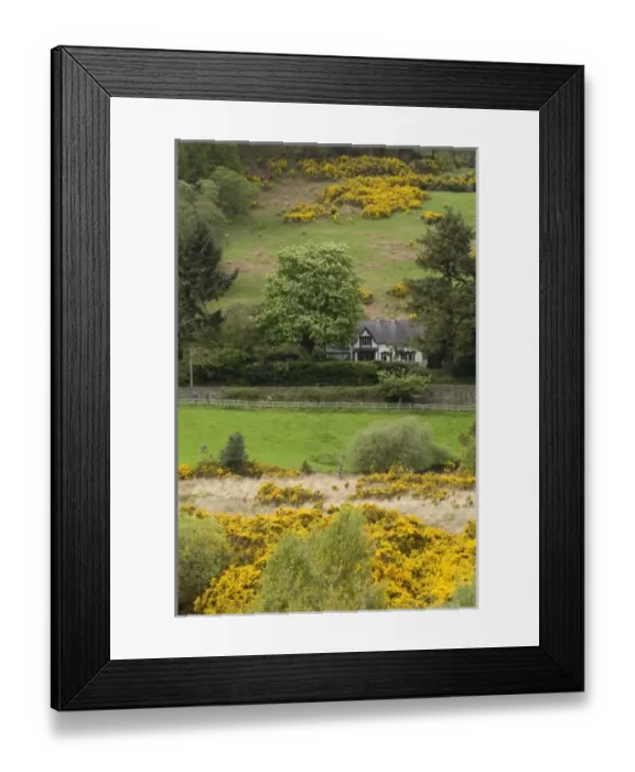 Framed Print : Europe, Ireland Framed Print : Europe, Ireland