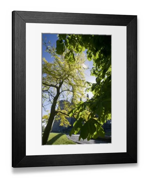 Framed Print : Ireland, County Kilkenny, castle Framed Print : Ireland, County Kilkenny, castle