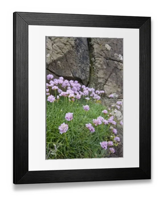 Framed Print : Northern Ireland, County Antrim, basaltic rock formations, World Heritage Site
