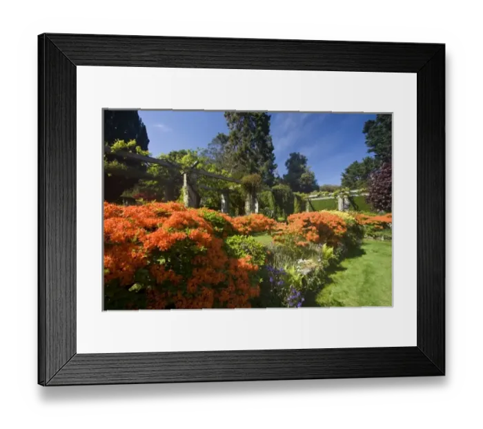Framed Print : Europe, Ireland Framed Print : Europe, Ireland
