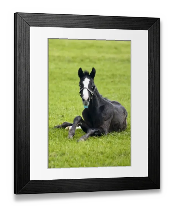 Framed Print : Europe, Ireland