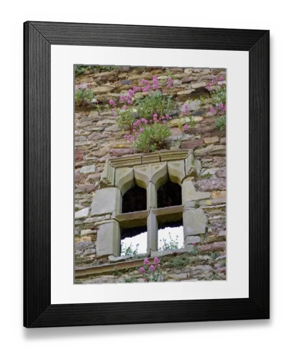 Framed Print : Europe, Ireland