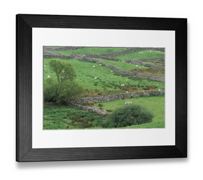 Framed Print : Ireland, County Mayo. Pasture near Cong Framed Print : Ireland, County Mayo. Pasture near Cong
