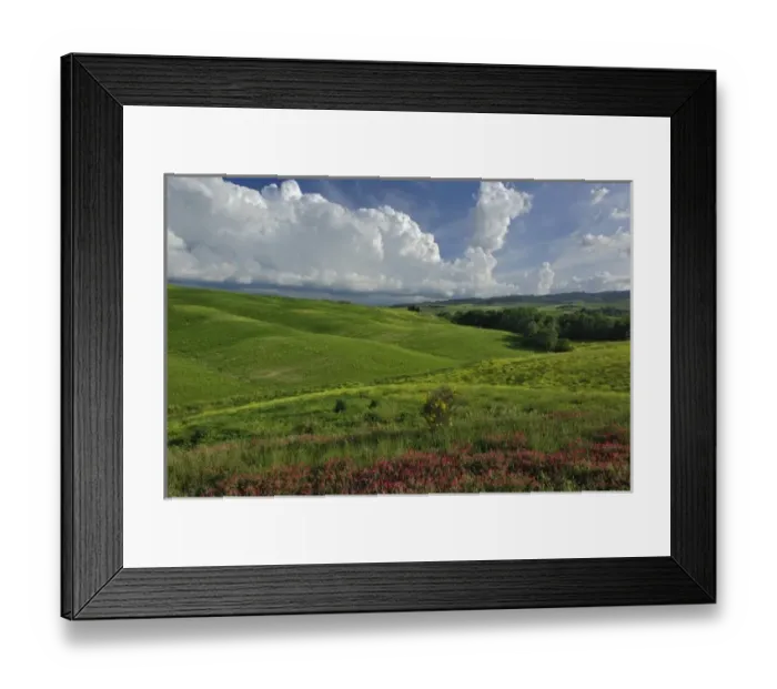 Framed Print : Agricultural region of Tuscany, Italy Framed Print : Agricultural region of Tuscany, Italy