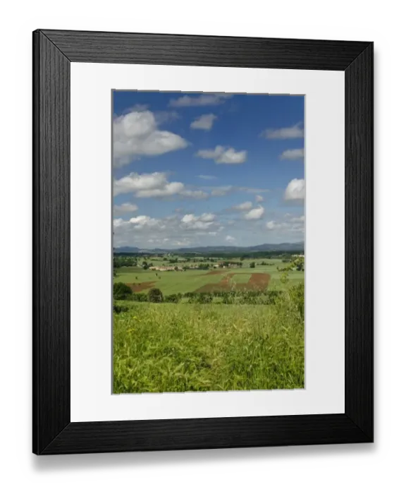 Framed Print : Vineyard viewed from Monteriggioni, Tuscany, Italy