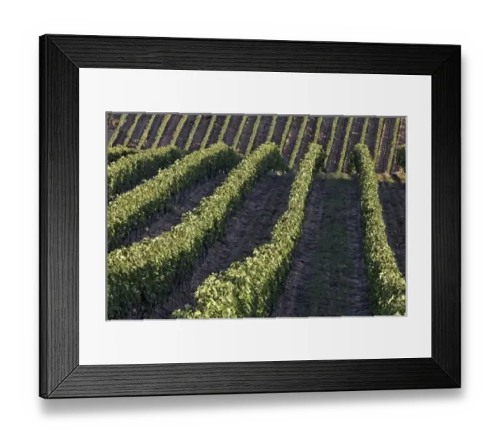 Framed Print : Europe, Italy Framed Print : Europe, Italy