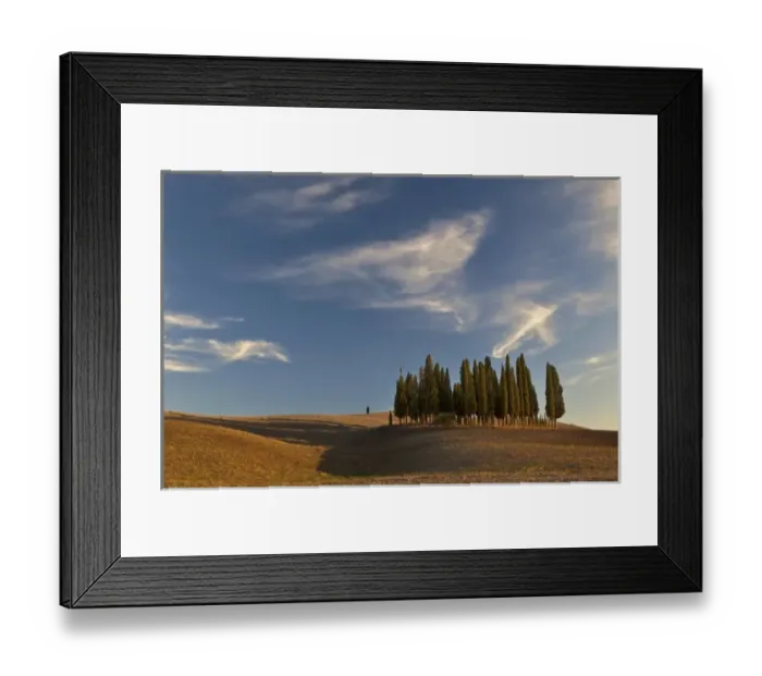 Framed Print : Classic cypress trees and harvested agricultural field, San Quirico d Orcia, Tuscany