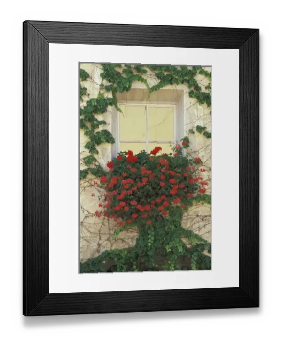 Framed Print : Europe, Italy