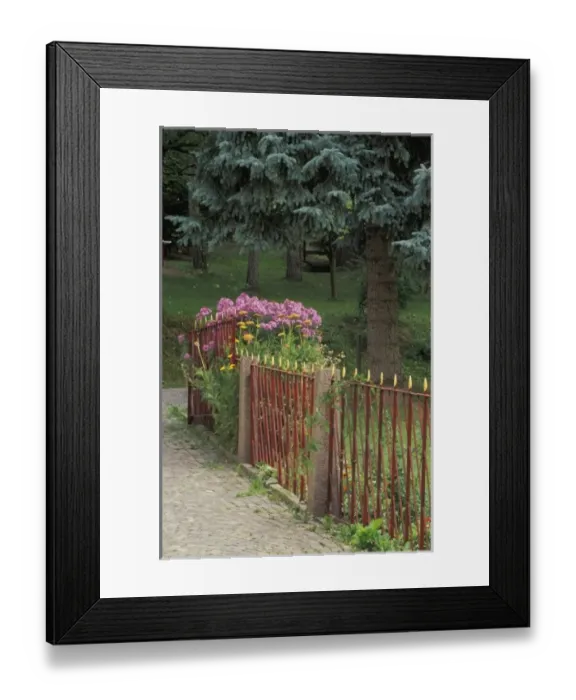 Framed Print : Italy, St. Ulrich. Decorative iron fence and asters