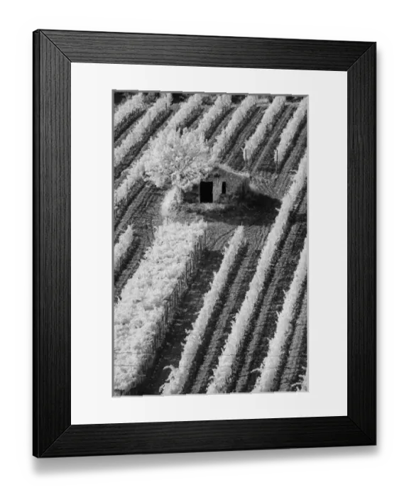 Framed Print : Infra Red Black & White view of small stone barn and hillside vineyard near Montalcino Framed Print : Infra Red Black & White view of small stone barn and hillside vineyard near Montalcino