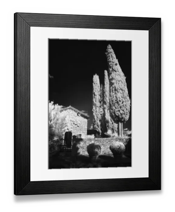 Framed Print : Infra Red Black & White on the Castello Banfi property, Italy