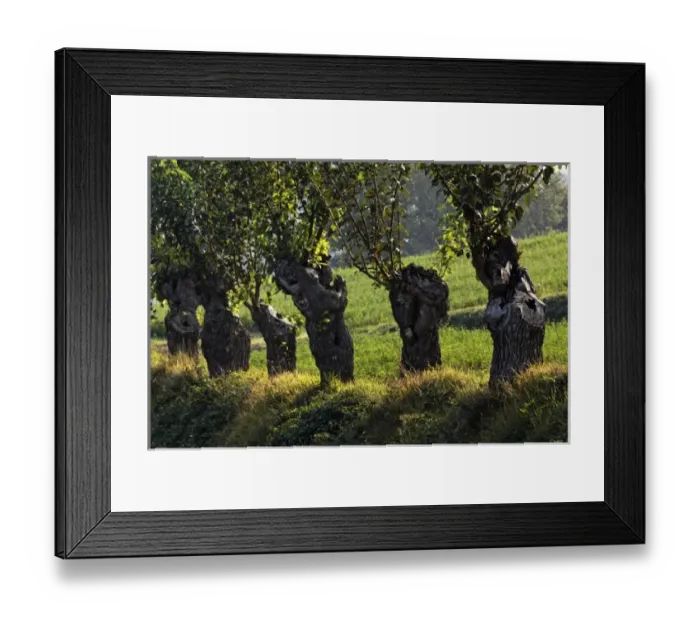 Framed Print : Europe, Italy