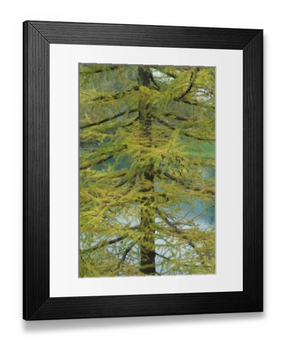 Framed Print : Europe, Italy