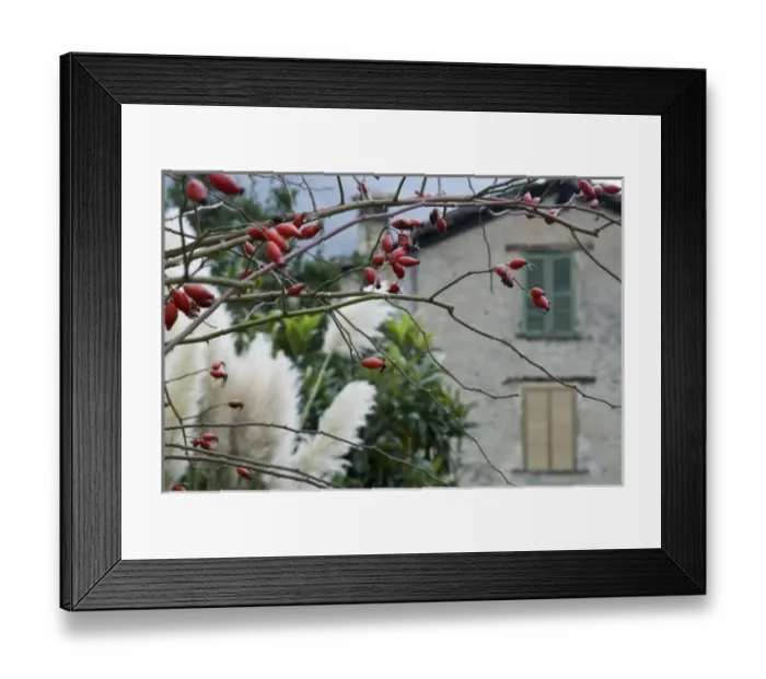 Framed Print : Europe, Italy