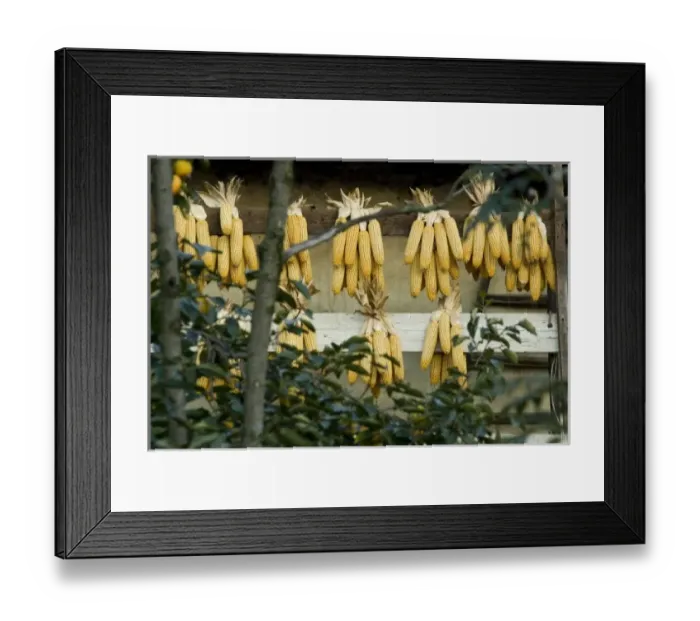 Framed Print : Europe, Italy Framed Print : Europe, Italy