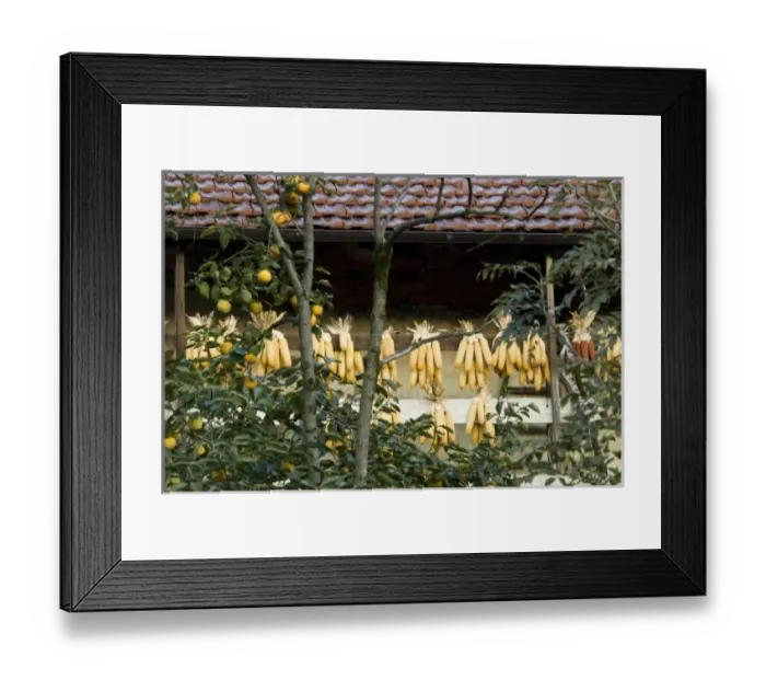 Framed Print : Europe, Italy