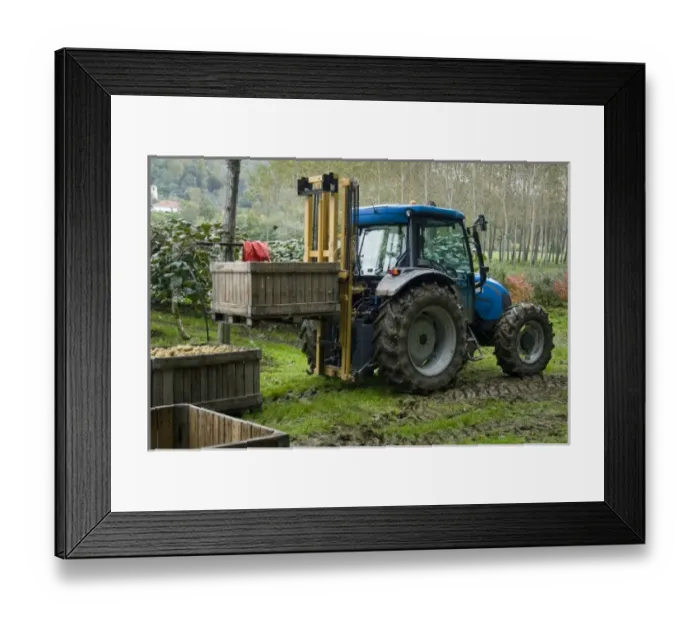 Framed Print : Europe, Italy Framed Print : Europe, Italy