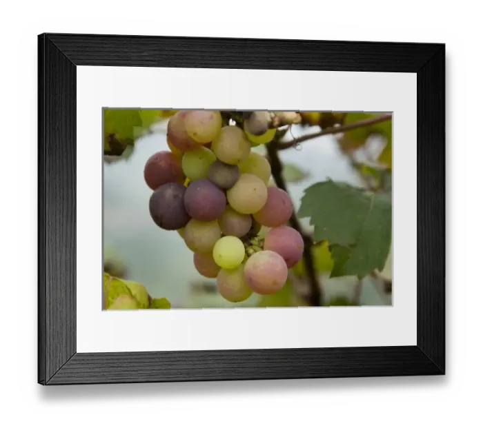 Framed Print : Europe, Italy Framed Print : Europe, Italy