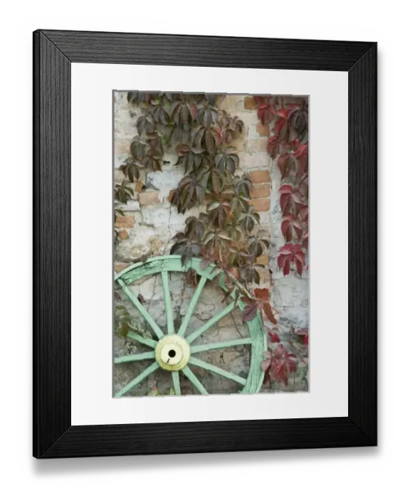 Framed Print : Italy, Piedmont (Piemonte), La Morra, green wooden wheel against vine-covered exterior Framed Print : Italy, Piedmont (Piemonte), La Morra, green wooden wheel against vine-covered exterior