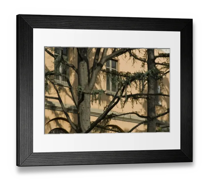 Framed Print : Europe, Italy