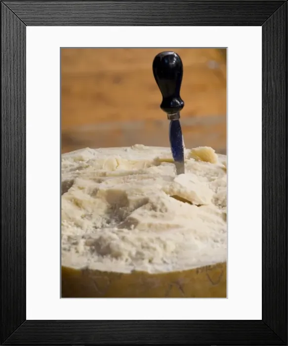Framed Print : Italy, Piedmont (Piemonte), Langhe, Alba, Annual White Truffle Fair, cheese